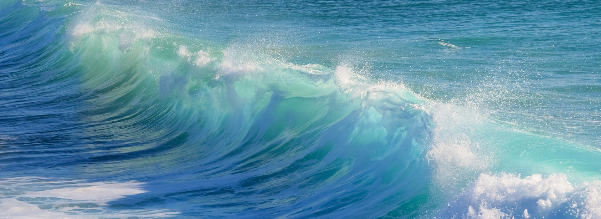 Riding the Wave of Agile Innovation - OIC Innovation